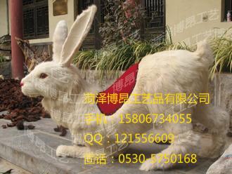 虎獅陪伴左獅右虎獅虎的野性拍照出個性