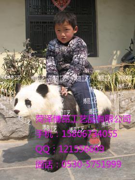 照相背景、照相痕跡、照相特色、照相火爆