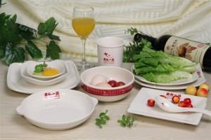 供應(yīng)塑料飯盒塑料快餐盒密胺餐具