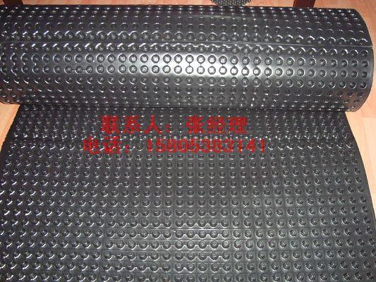 供應(yīng)秦皇島車庫排水板屋頂排水板