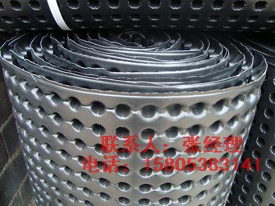 專業(yè)供應(yīng)樓頂花園排水板廠家*盛源