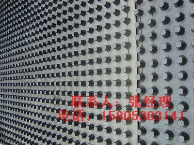 專業(yè)供應(yīng)樓頂花園排水板廠家*盛源