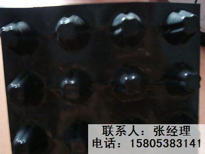 供應海南排水板?？谲噹炫潘逋凉げ?  title=