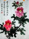 毛絨相紙圖片