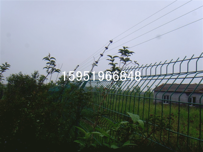 電子圍欄直銷圖片/電子圍欄直銷樣板圖 (3)