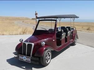 林立電動老爺車車型圖片