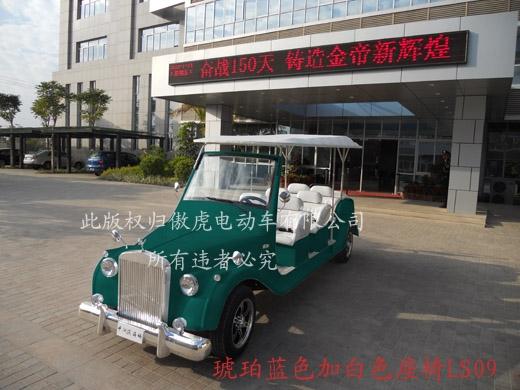 供應(yīng)電動(dòng)老爺車重慶銷售點(diǎn)-林立