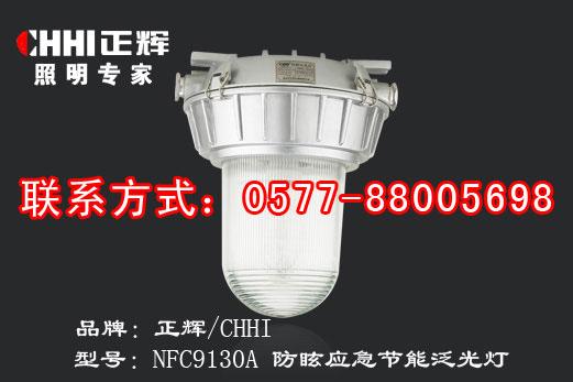 供应NEC9130A 防眩应急节能泛光灯防眩节能应急灯35W