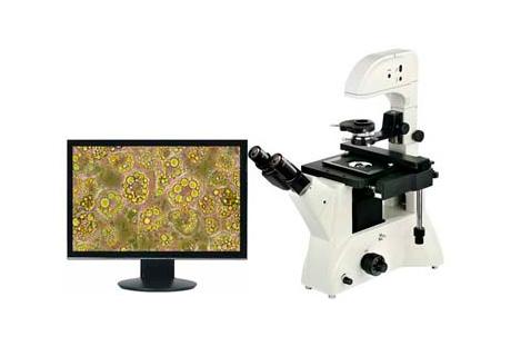 廣州數(shù)碼倒置顯微鏡ME41圖片