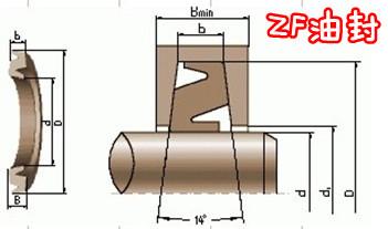 供应ZF油封优点，ZF油封缺点，ZF油封天津哪有，津金浩德供应