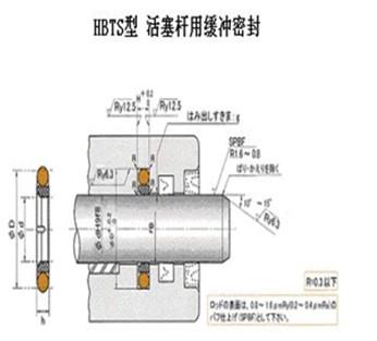 德国CTY供应商批发价图片