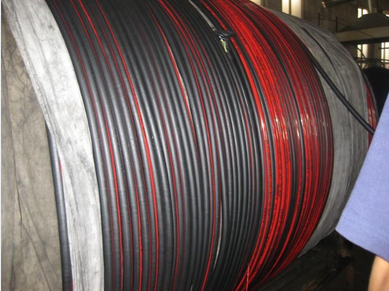 供應(yīng)江蘇瑪努利