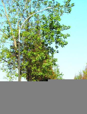 供應(yīng)14米雙臂路燈