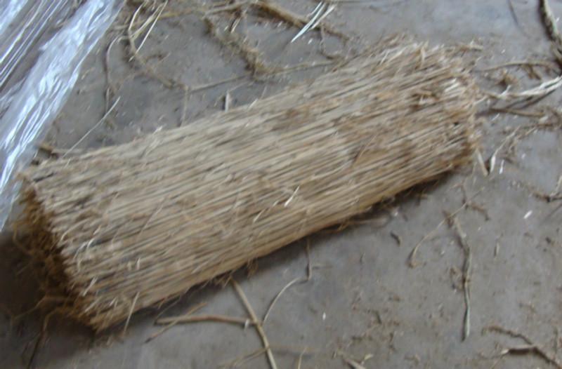 供應(yīng)北京草簾