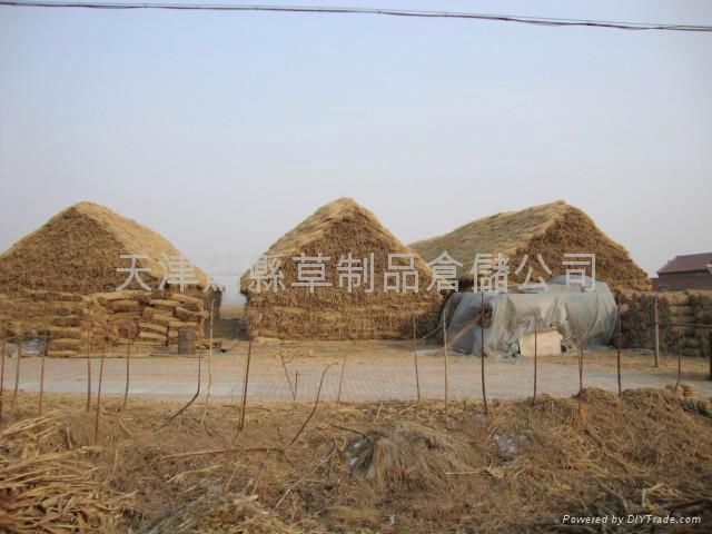 供應(yīng)稻草報(bào)價(jià)、稻草生產(chǎn)、稻草供應(yīng)