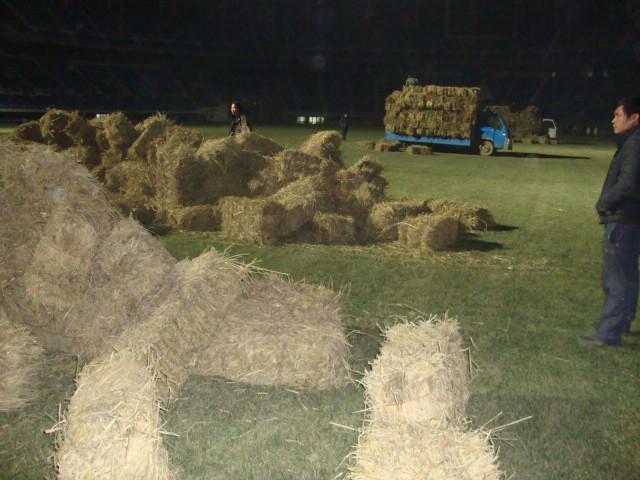 供應(yīng)二手走式打捆機(jī)