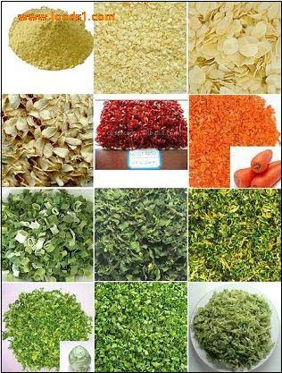 供應(yīng)切菜機(jī)切丁機(jī)剎菜機(jī)多功能切絲切片機(jī)廣州旭眾切菜機(jī)設(shè)備