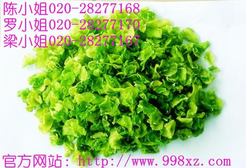 供應(yīng)切菜機(jī)切丁機(jī)剎菜機(jī)多功能切絲切片機(jī)廣州旭眾切菜機(jī)設(shè)備