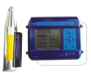 供應(yīng)鹽城銷售數(shù)顯一體數(shù)字回彈儀：數(shù)顯回彈儀DJHT225W-09