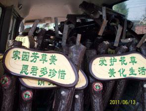 玻璃鋼草地牌供應(yīng)廠家圖片