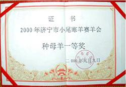 供應(yīng)純種小尾寒羊母羊適合在山區(qū)放養(yǎng)