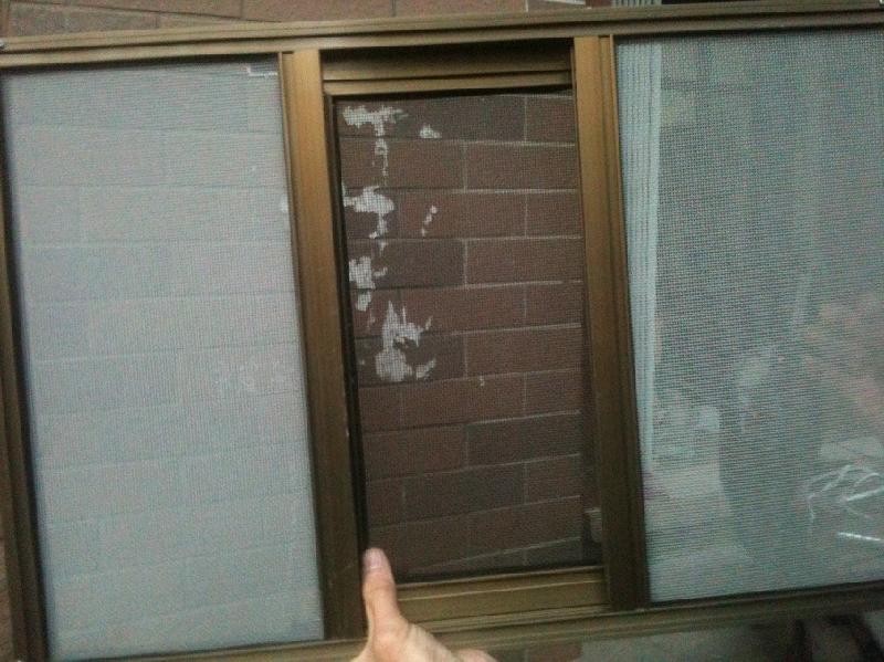 供應(yīng)防盜紗窗-南京防盜紗窗