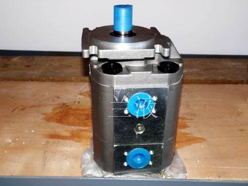 供應(yīng)汽車起重機(jī)吊車雙聯(lián)泵