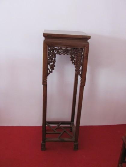 供應*梨花木紅豆杉等