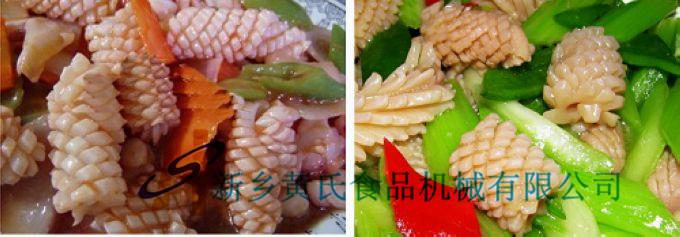 魷魚圖片/魷魚樣板圖 (2)