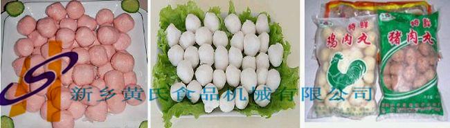 黃氏肉丸機(jī)設(shè)備圖片