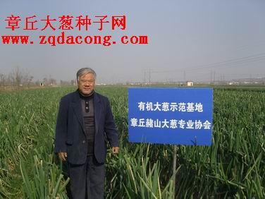 供大蔥種子 章丘大蔥種*品種 *品牌“家祿牌”章丘大蔥種子網(wǎng)