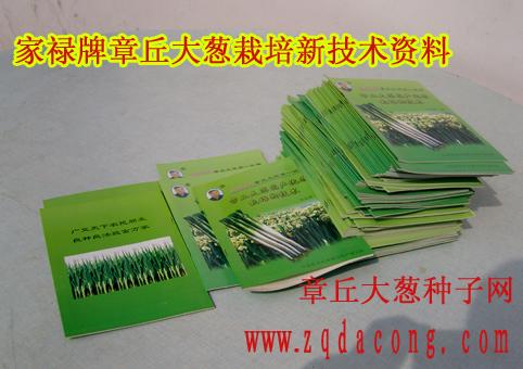 供應(yīng)-山東大蔥種-新品種-章丘大蔥種子-*品牌-大蔥種子-大蔥籽