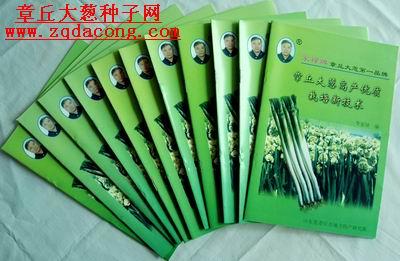 供應(yīng)山東大蔥種-高產(chǎn)-新品種-家祿三號(hào)-章丘大蔥種-產(chǎn)量*-大蔥種