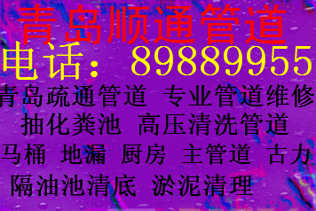 青岛崂山投下水机械通马桶地漏古力图片