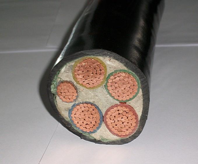 質(zhì)量好的電纜電線品牌朝陽(yáng)牌電線纜圖片/質(zhì)量好的電纜電線品牌朝陽(yáng)牌電線纜樣板圖 (4)