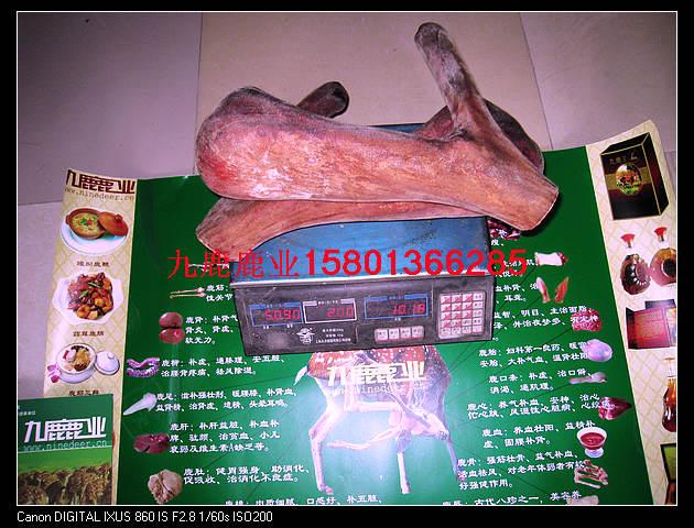 供應(yīng)鹿茸泡酒鹿茸買(mǎi)鹿茸鹿茸*