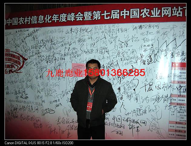 北京梅花鹿養(yǎng)殖，天津梅花鹿養(yǎng)殖，山西梅花鹿養(yǎng)殖，陜西梅花鹿養(yǎng)殖梅