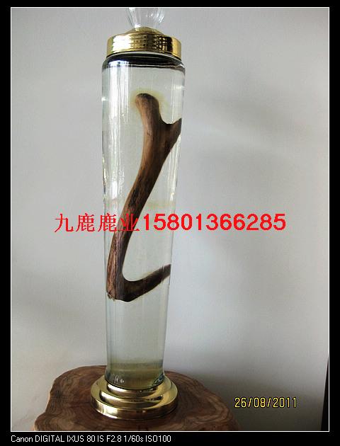 供應(yīng)養(yǎng)殖梅花鹿梅花鹿出售，梅花鹿肉價(jià)格，梅花鹿種鹿的價(jià)格，梅花鹿