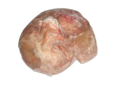 供應*品牌神奇*包裝