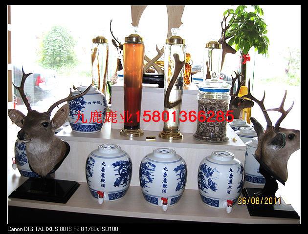 供應(yīng)梅花鹿肉價(jià)格，與鹿肉相克的食物，吃鹿肉的禁忌，腌制鹿肉