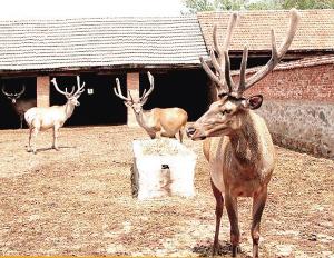 供應(yīng)*官方網(wǎng)站真的*