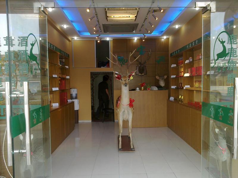 供應(yīng)**價(jià)格*功效梅花鹿*