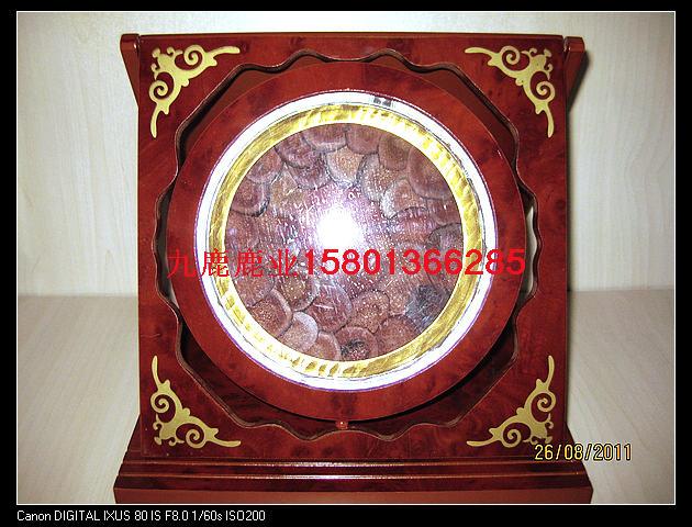 供應九鹿鹿業(yè)出售鹿肉鹿茸