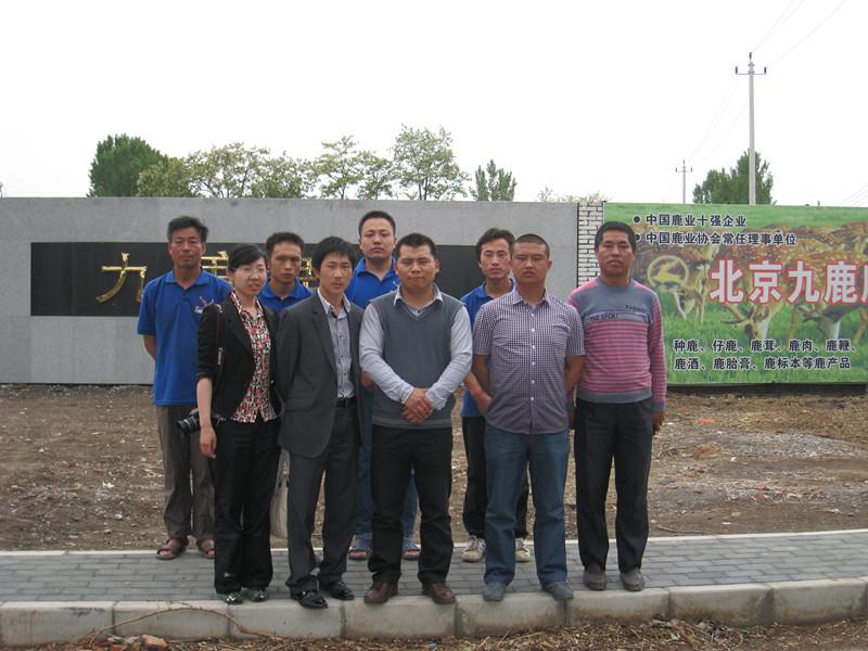 供應(yīng)2011梅花鹿價(jià)格花鹿價(jià)格 2011年的梅花鹿價(jià)格梅花鹿