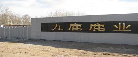供應(yīng)鹿寶堂鹿產(chǎn)品