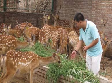 供應(yīng)北京*批發(fā)