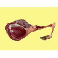 鹿肉的功效北京鹿肉怎樣做鹿肉圖片