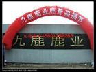 鹿心血有什么功效怎么用最好圖片/鹿心血有什么功效怎么用最好樣板圖 (3)