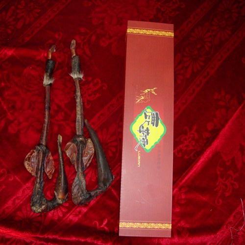 鹿鞭精鹿鞭神液鹿鞭酒的作用鮮鹿鞭