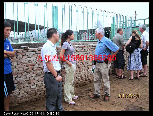 供應(yīng)梅花鹿鹿產(chǎn)品種類，梅花鹿鹿肉，梅花鹿腎，梅花鹿鞭，梅花鹿鹿筋
